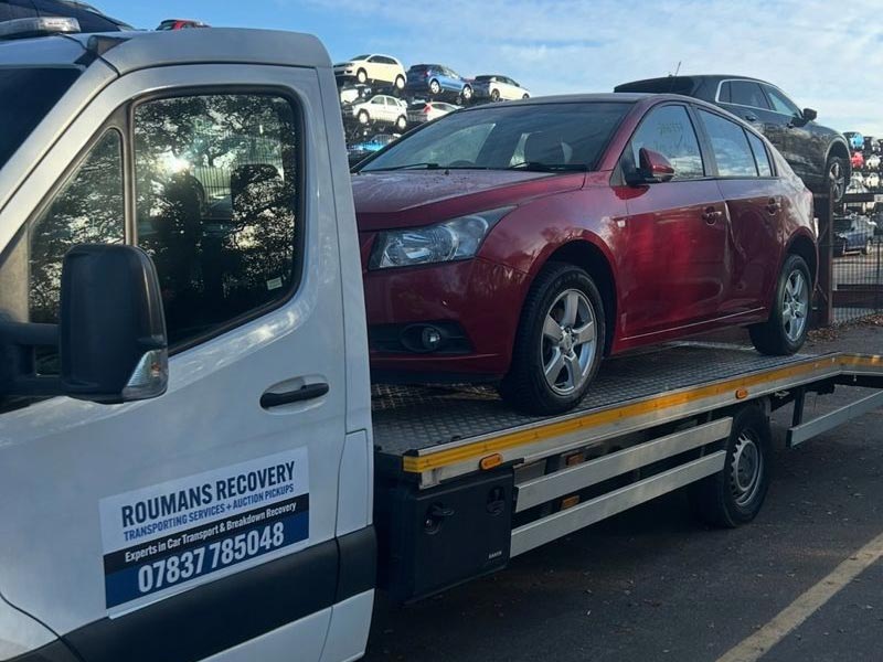 about-roumans-recovery